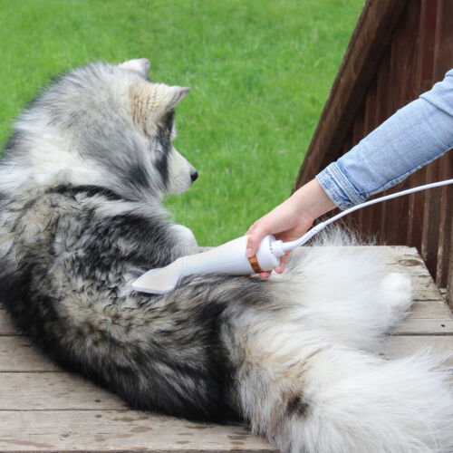 Secador Pet 2 em 1 Peludita: Seca, Remove Pelos Soltos e Desembaraça